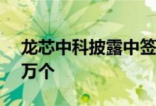 龙芯中科披露中签结果：中签号码共有1.96万个