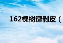 162棵树遭剥皮（树皮一般多少钱一斤）