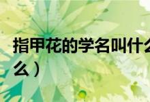 指甲花的学名叫什么名字（指甲花的学名叫什么）