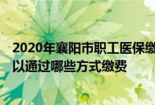 2020年襄阳市职工医保缴费标准 2022襄阳城乡居民医保可以通过哪些方式缴费 