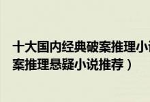 十大国内经典破案推理小说（悬疑推理小说排行榜好看的破案推理悬疑小说推荐）