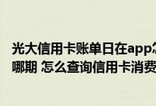 光大信用卡账单日在app怎么查看 光大信用卡账单日消费算哪期 怎么查询信用卡消费记录