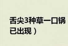 舌尖3种草一口锅（朋友圈首批“铁锅代购”已出现）