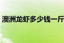 澳洲龙虾多少钱一斤（龙虾价格为何这么贵）