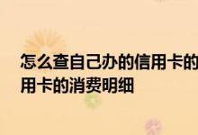 怎么查自己办的信用卡的消费记录 请问一下 怎么查到我信用卡的消费明细