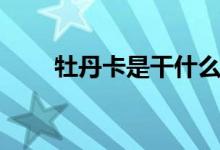 牡丹卡是干什么用的（额度是多少）