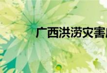 广西洪涝灾害应急响应升至Ⅱ级