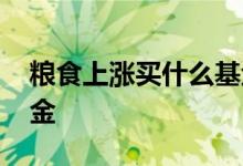 粮食上涨买什么基金代码 粮食上涨买什么基金