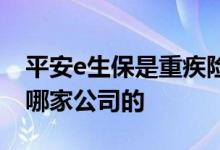 平安e生保是重疾险吗 e生平安疾病守护金是哪家公司的