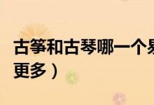 古筝和古琴哪一个易学（古筝和古琴哪一个弦更多）