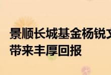 景顺长城基金杨锐文：中国科技股将为投资者带来丰厚回报