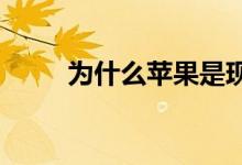 为什么苹果是现在购买的明智之选