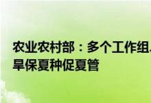 农业农村部：多个工作组、科技小分队赴黄淮海地区指导抗旱保夏种促夏管