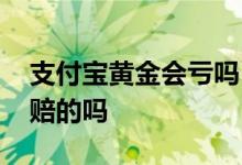 支付宝黄金会亏吗 支付宝里的黄金是稳赚不赔的吗