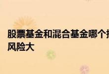 股票基金和混合基金哪个指数不同 股票基金和混合基金哪个风险大