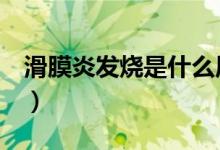 滑膜炎发烧是什么原因（hm衣服是什么品牌）