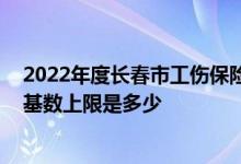 2022年度长春市工伤保险缴费基数申报时间 工伤保险缴费基数上限是多少 