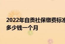 2022年自贡社保缴费标准基数及比例一览表 自贡个人社保多少钱一个月 