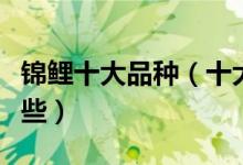 锦鲤十大品种（十大名贵锦鲤锦鲤的品种有哪些）