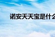 诺安天天宝是什么 诺安天天宝a是什么