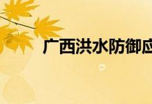 广西洪水防御应急响应提升至Ⅲ级