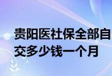 贵阳医社保全部自己交一个月多少钱 社保要交多少钱一个月 