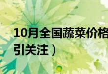 10月全国蔬菜价格环比上涨16%（菜比肉贵引关注）
