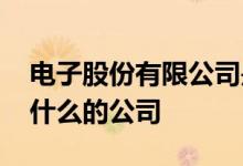 电子股份有限公司是做什么的 电声股份是做什么的公司 