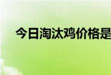 今日淘汰鸡价格是多少（最新报价来了）