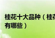 桂花十大品种（桂花有多少种品种桂花的种类有哪些）
