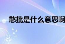 憨批是什么意思啊（憨批表示什么意思）