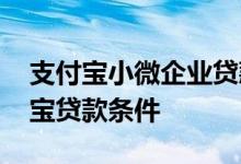 支付宝小微企业贷款怎么还款 小微企业支付宝贷款条件