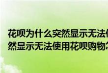 花呗为什么突然显示无法使用花呗购物怎么办 花呗为什么突然显示无法使用花呗购物怎么恢复