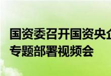 国资委召开国资央企促进高校毕业生就业工作专题部署视频会