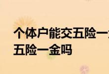 个体户能交五险一金吗多少钱 个体户可以交五险一金吗