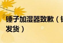 锤子加湿器致歉（锤子加湿器难产延迟一个月发货）