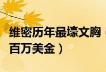 维密历年最壕文胸（今年最便宜的文胸只要一百万美金）
