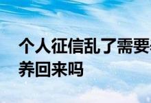 个人征信乱了需要养多久才能养好 征信可以养回来吗