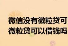 微信没有微粒贷可以借钱吗怎么借 微信没有微粒贷可以借钱吗