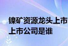 镍矿资源龙头上市公司有哪些 最大镍矿源的上市公司是谁 