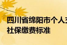 四川省绵阳市个人交社保多少钱 2022绵阳市社保缴费标准 
