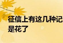 征信上有这几种记录 征信上有哪些记录就算是花了