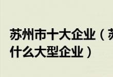 苏州市十大企业（苏州公司排名前十强苏州有什么大型企业）