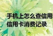 手机上怎么查信用卡消费明细 手机上怎么查信用卡消费记录