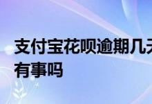 支付宝花呗逾期几天没事 支付宝花呗逾期1天有事吗
