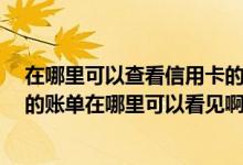 在哪里可以查看信用卡的账单地址 请问一下 信用卡每个月的账单在哪里可以看见啊