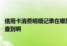 信用卡消费明细记录在哪里查 信用卡的消费明细在哪里可以查到啊