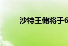 沙特王储将于6月22日访问土耳其