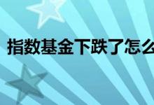 指数基金下跌了怎么办 指数基金下跌能否买
