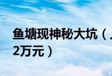 鱼塘现神秘大坑（上万公斤鱼被“吞”损失12万元）